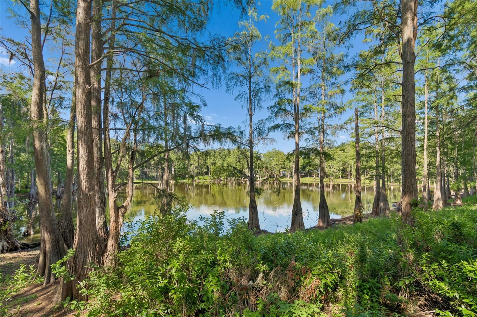 3410 LAUREL DALE DR, TAMPA, FL, 33618