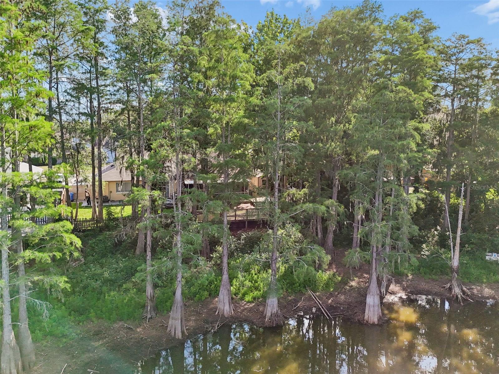 3410 LAUREL DALE DR, TAMPA, FL, 33618