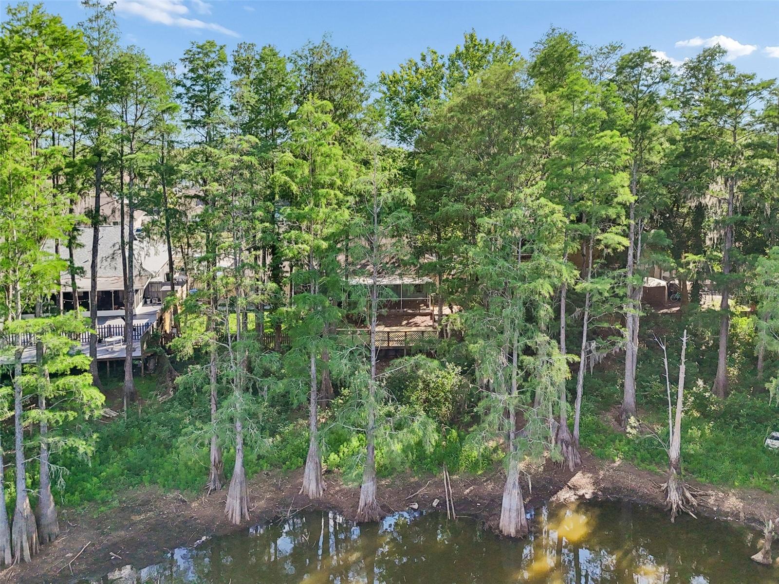 3410 LAUREL DALE DR, TAMPA, FL, 33618