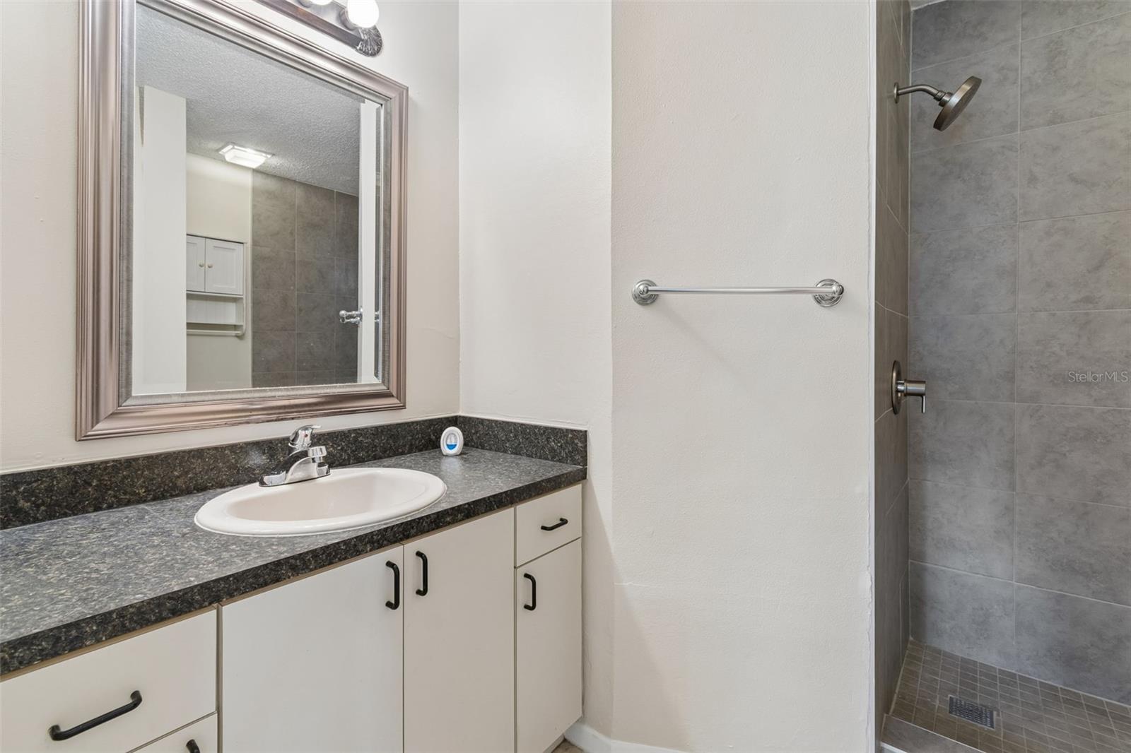 3410 LAUREL DALE DR, TAMPA, FL, 33618