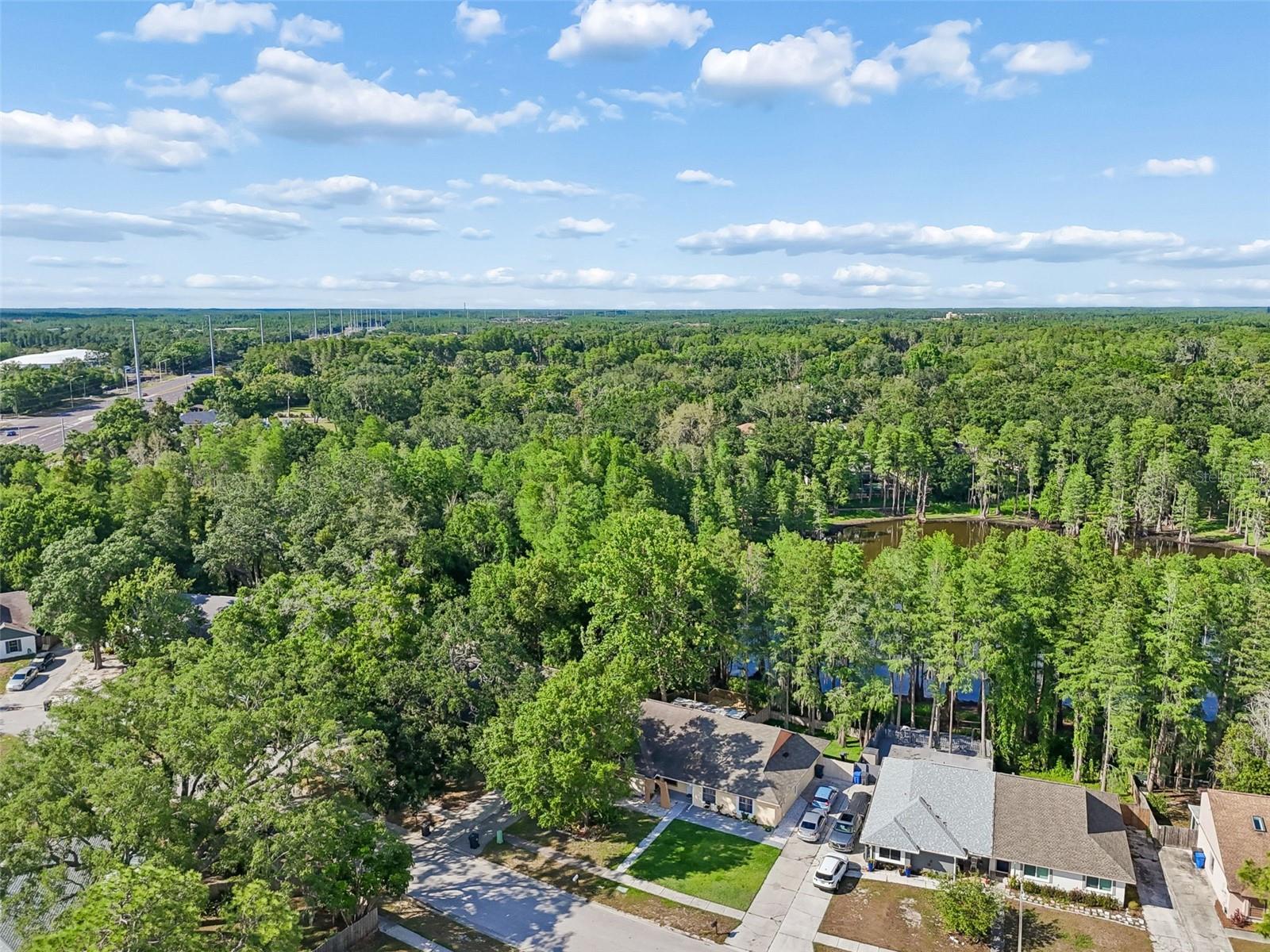 3410 LAUREL DALE DR, TAMPA, FL, 33618