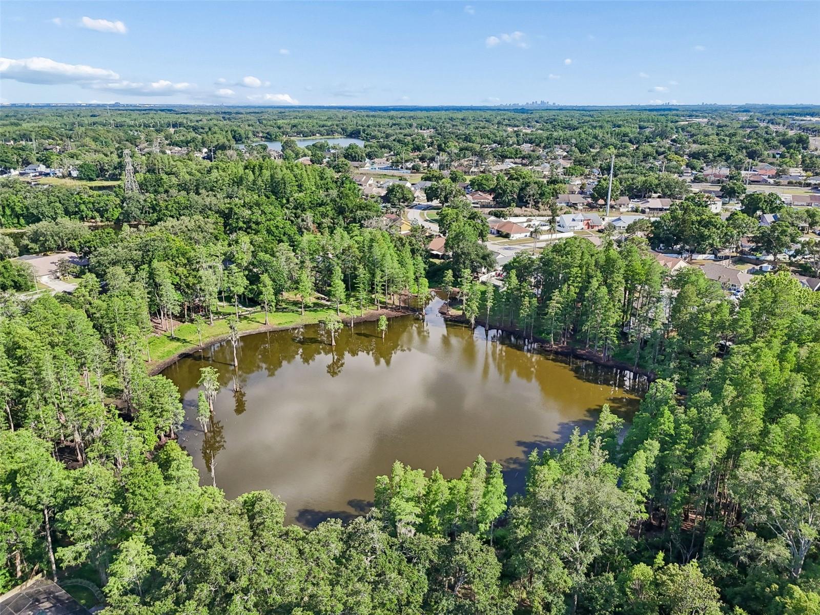 3410 LAUREL DALE DR, TAMPA, FL, 33618