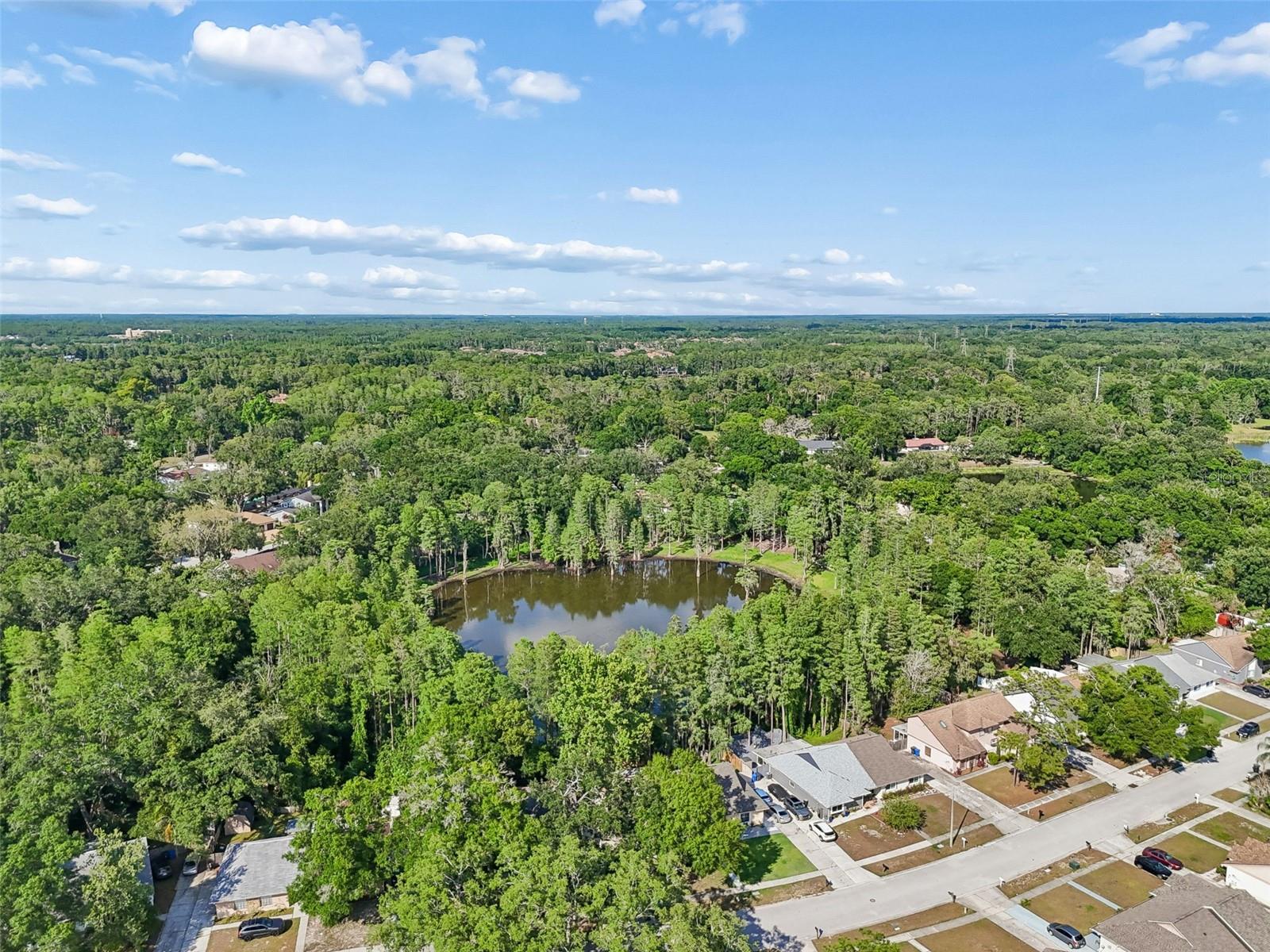 3410 LAUREL DALE DR, TAMPA, FL, 33618
