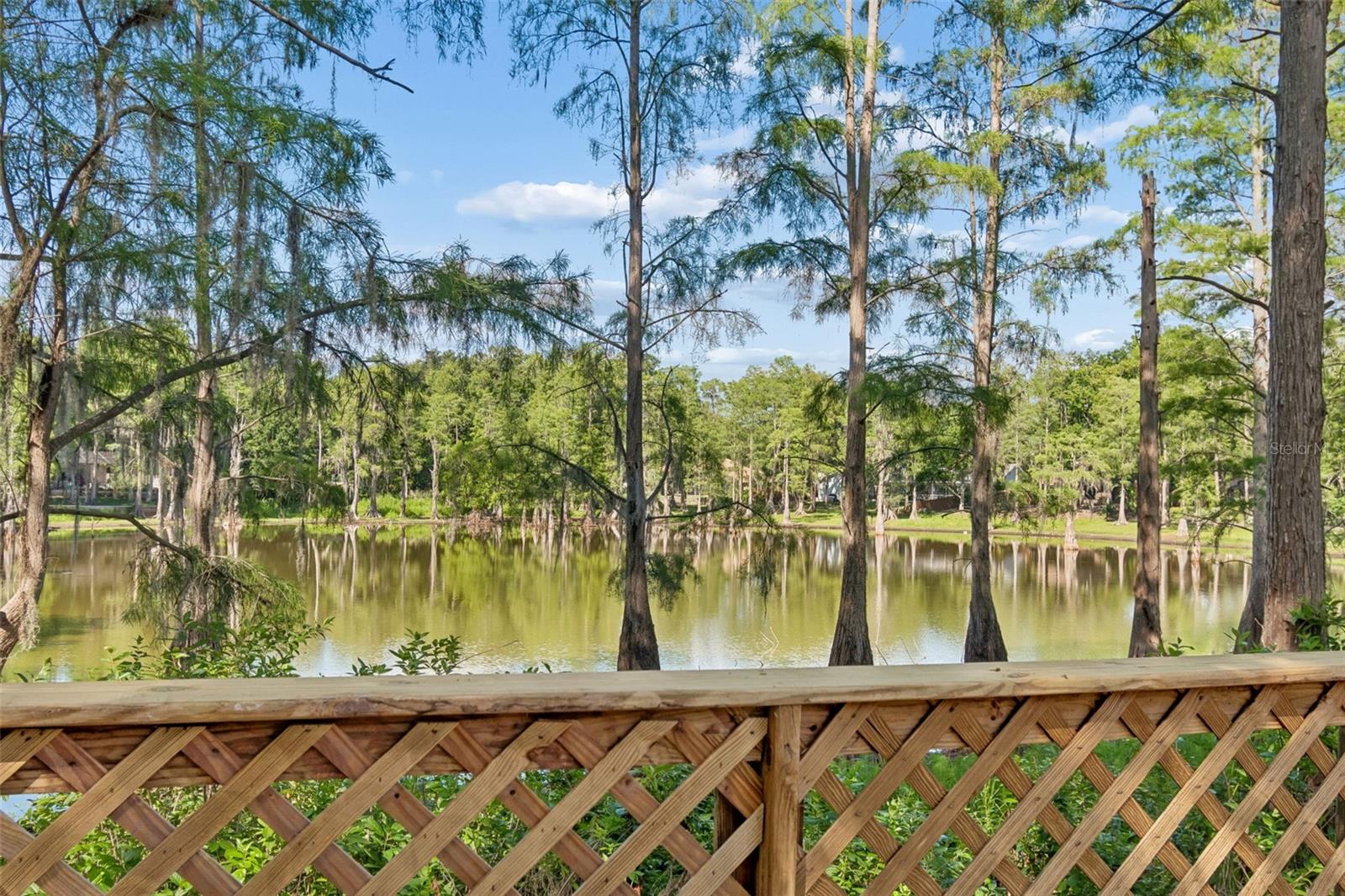 3410 LAUREL DALE DR, TAMPA, FL, 33618