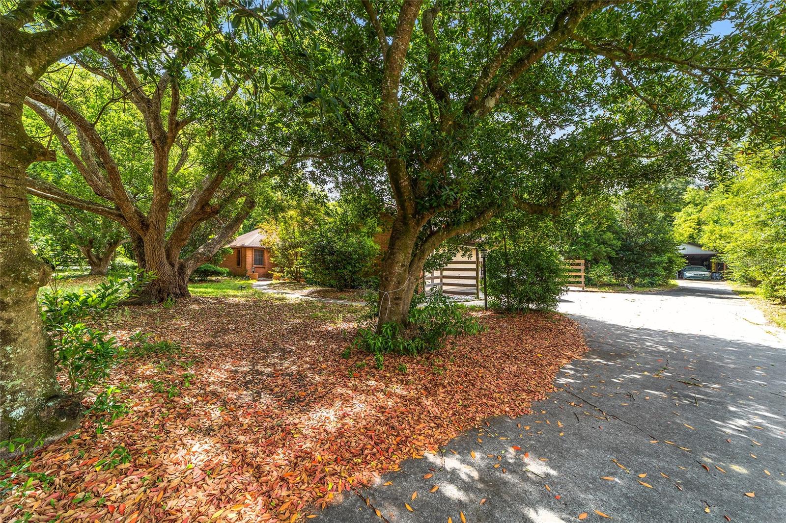 5670 SW 34TH ST, OCALA, FL, 34474