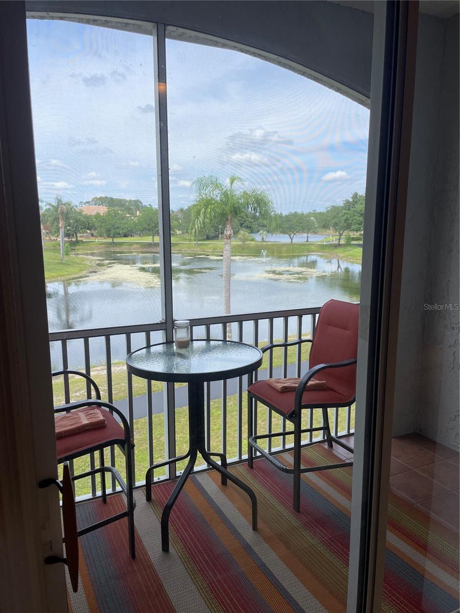 6808 DALI AVE #204, LAND O LAKES, FL, 34637