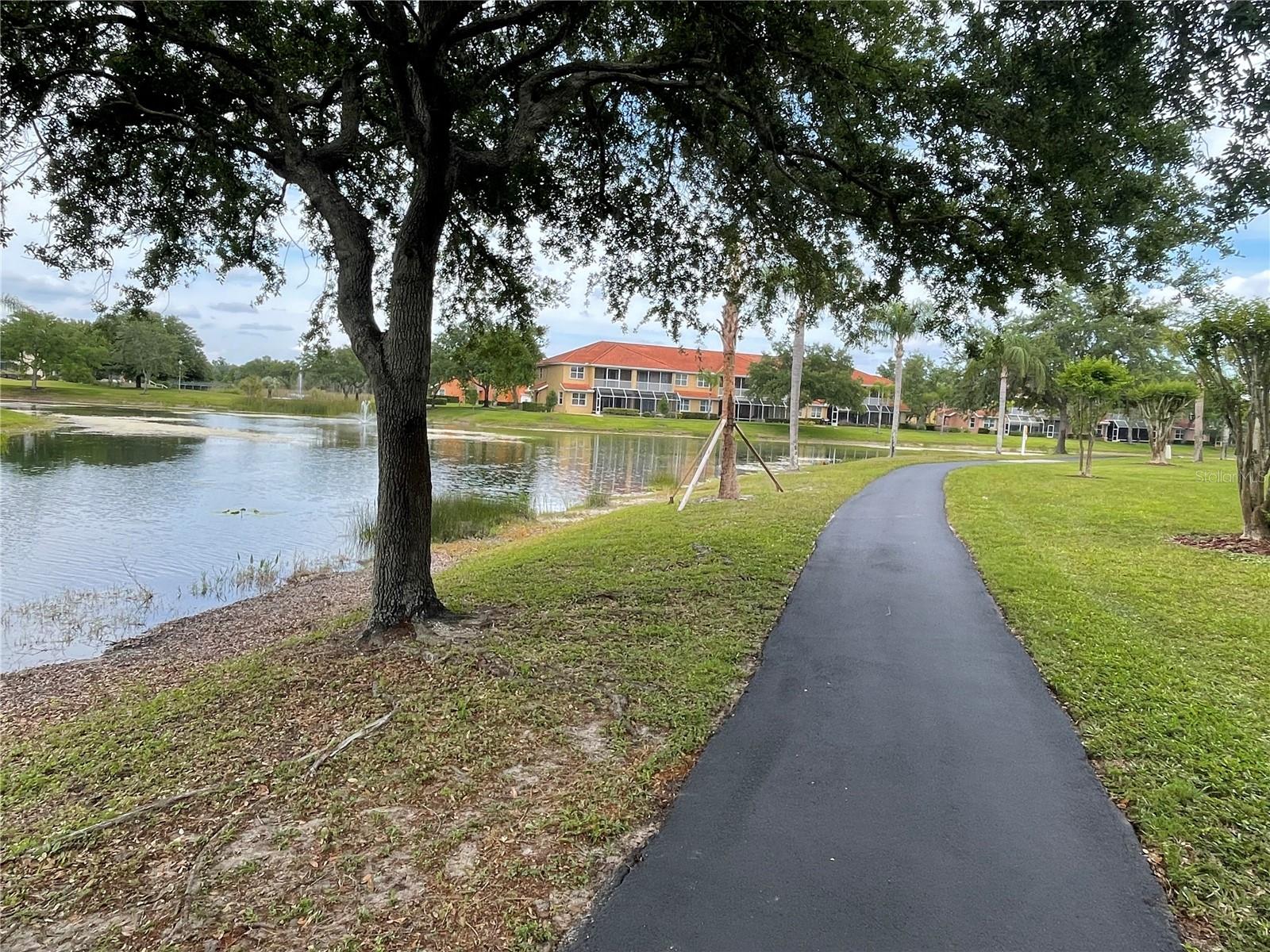 6808 DALI AVE #204, LAND O LAKES, FL, 34637