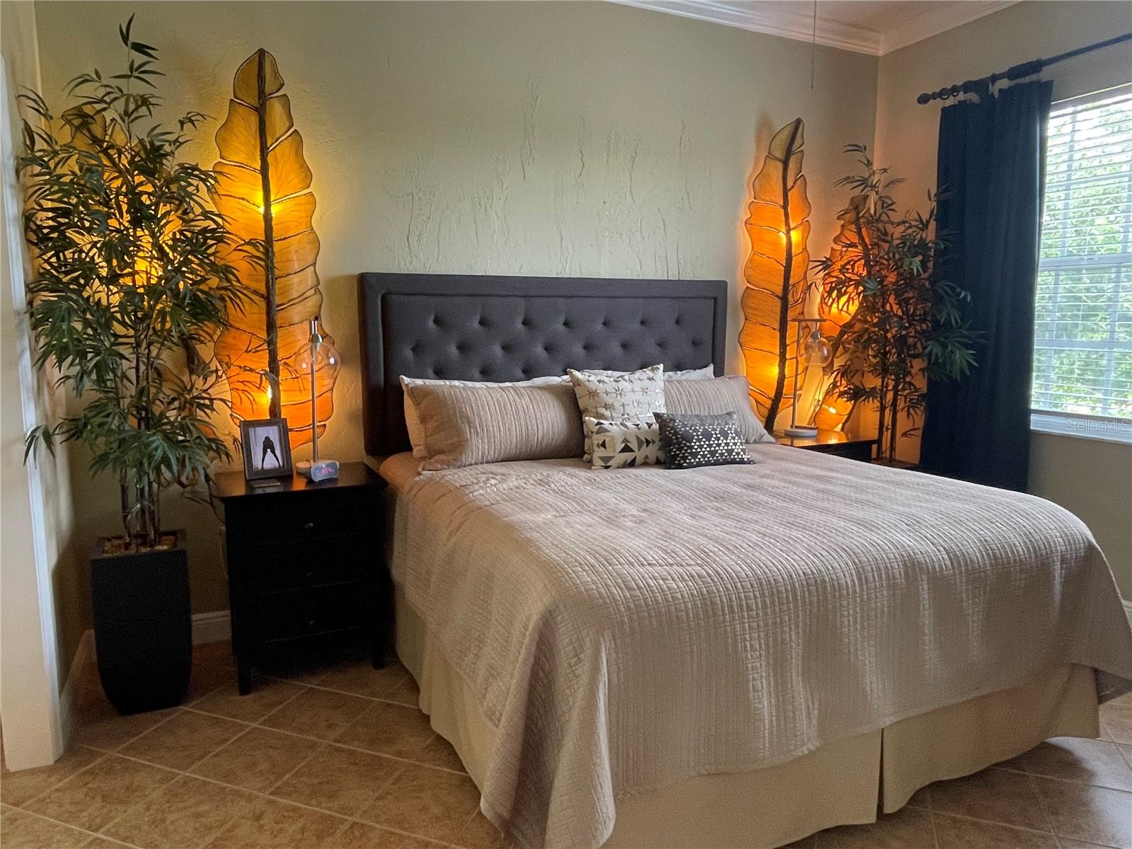 6808 DALI AVE #204, LAND O LAKES, FL, 34637