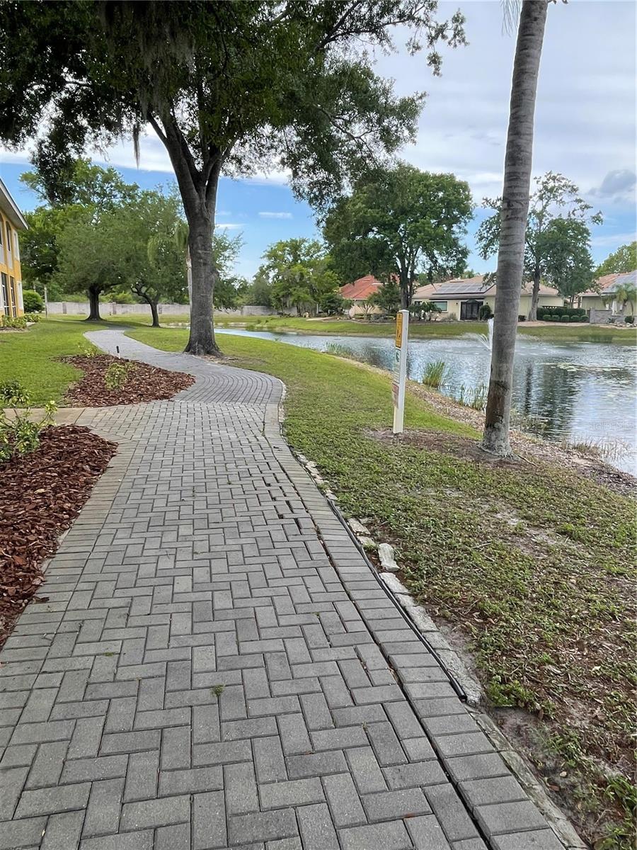 6808 DALI AVE #204, LAND O LAKES, FL, 34637
