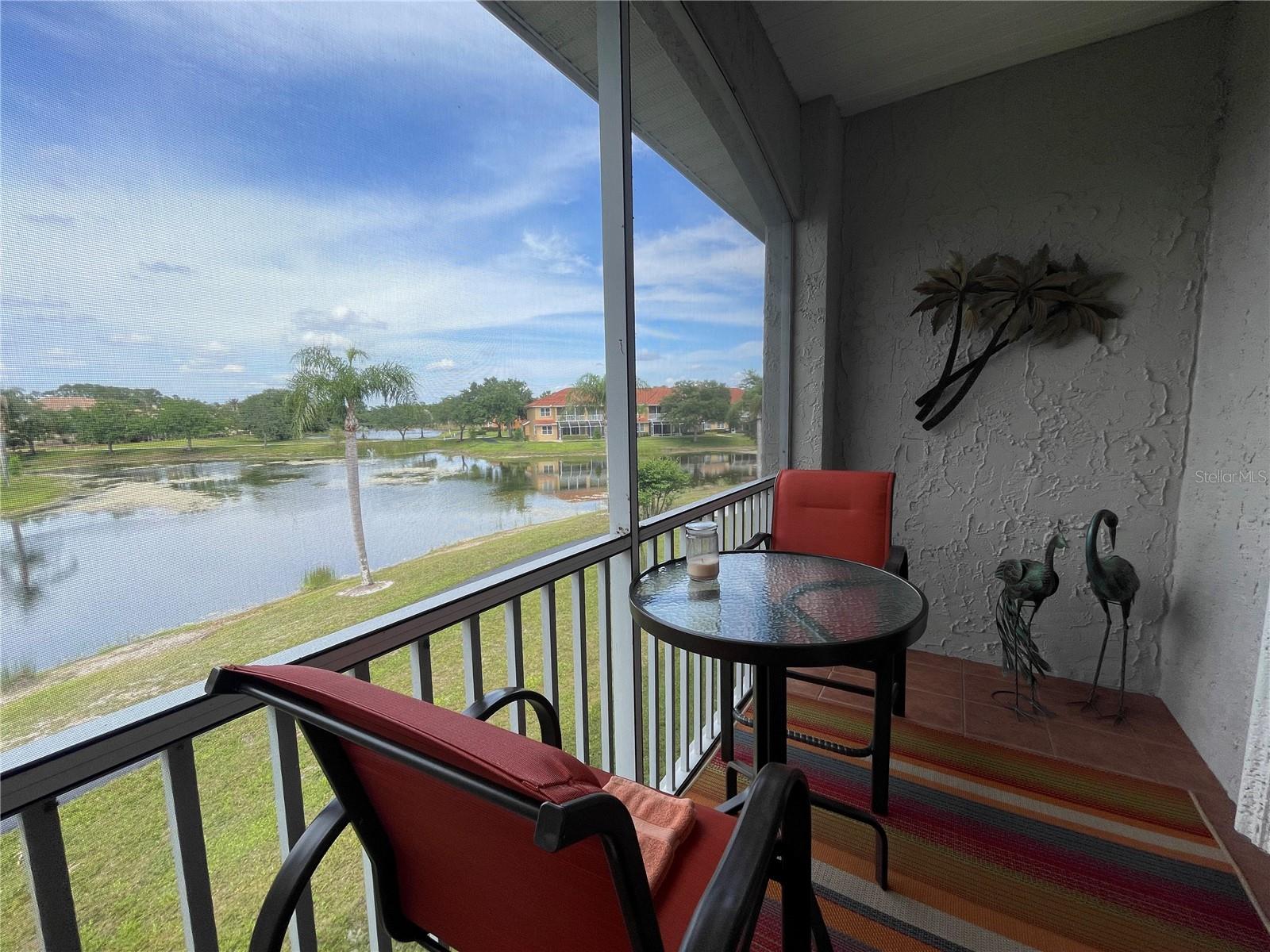 6808 DALI AVE #204, LAND O LAKES, FL, 34637