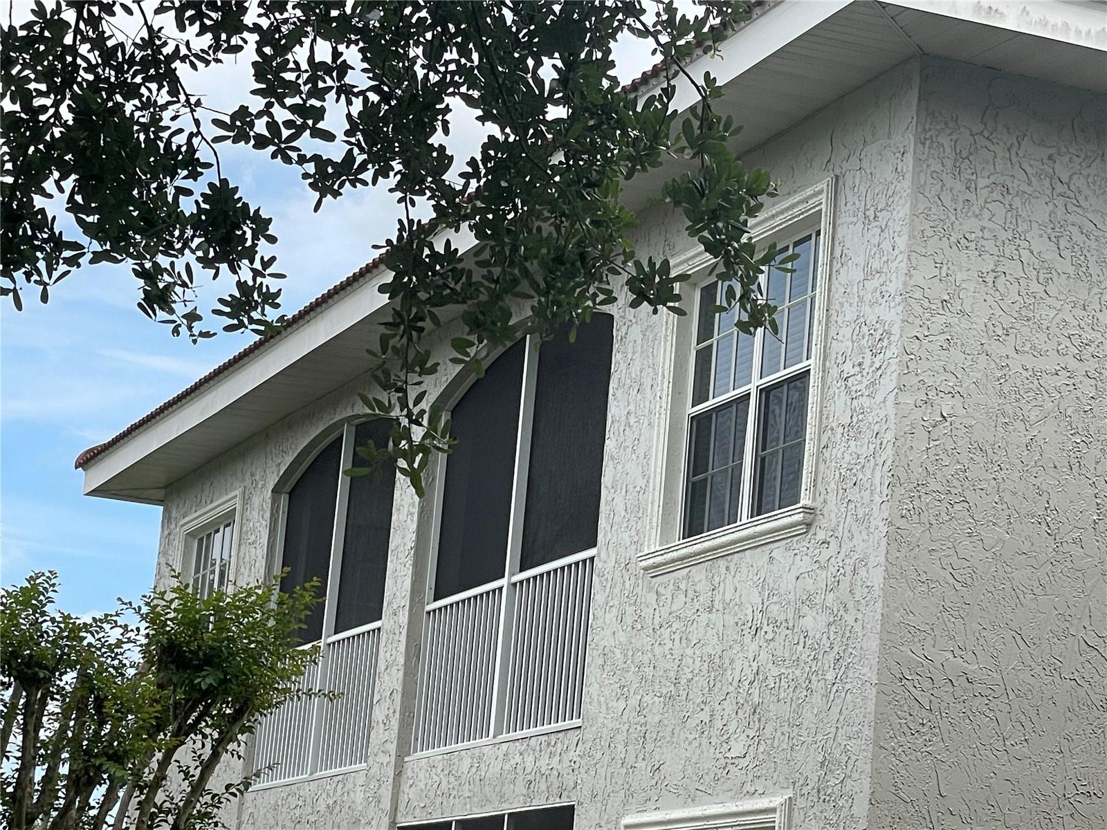 6808 DALI AVE #204, LAND O LAKES, FL, 34637
