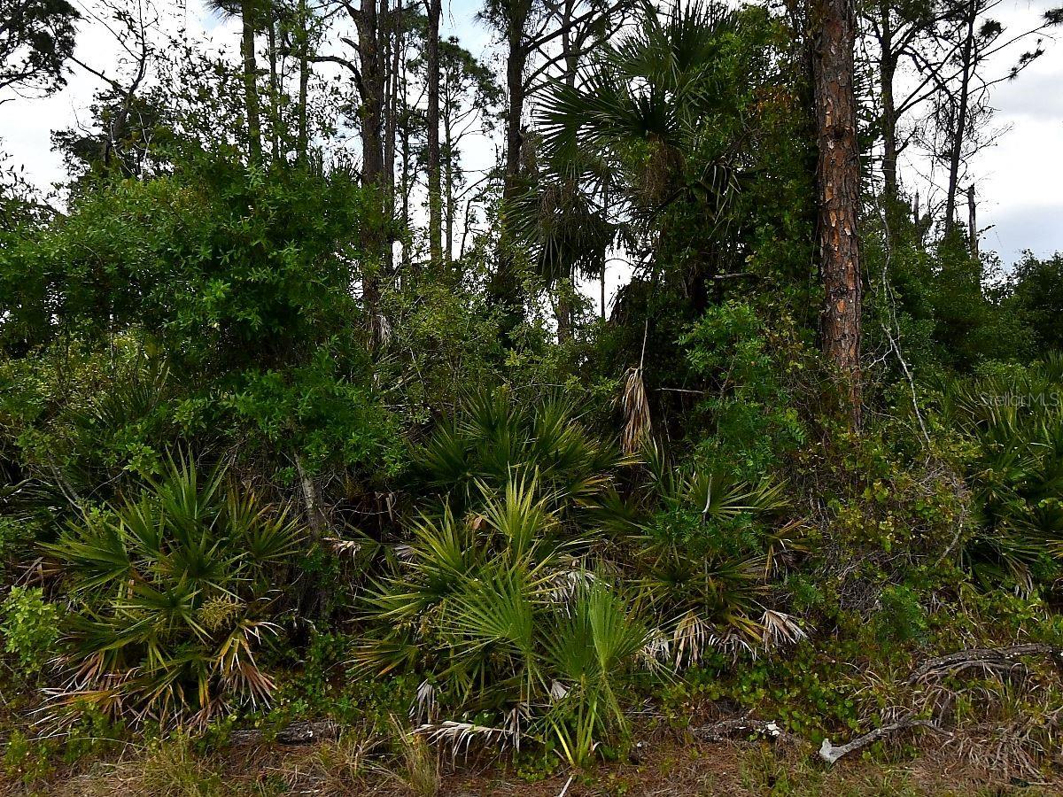 GELOSO AVE, NORTH PORT, FL, 34288