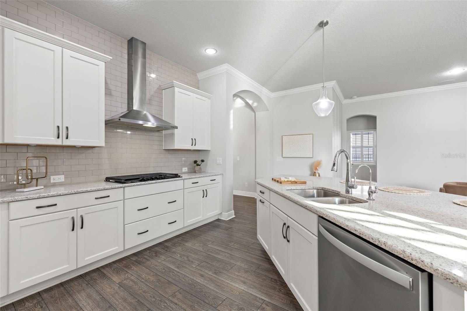 4077 BROAD PORCH RUN, LAND O LAKES, FL, 34638