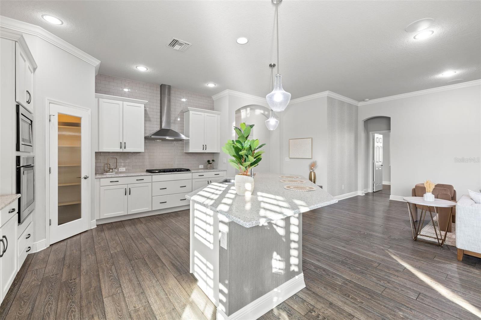 4077 BROAD PORCH RUN, LAND O LAKES, FL, 34638