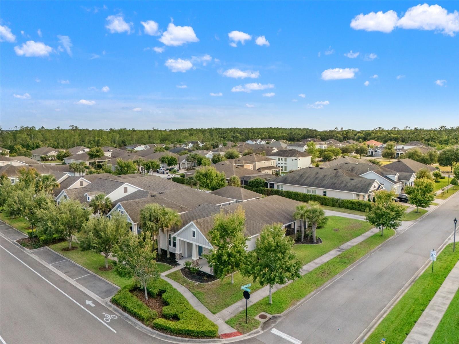 4077 BROAD PORCH RUN, LAND O LAKES, FL, 34638