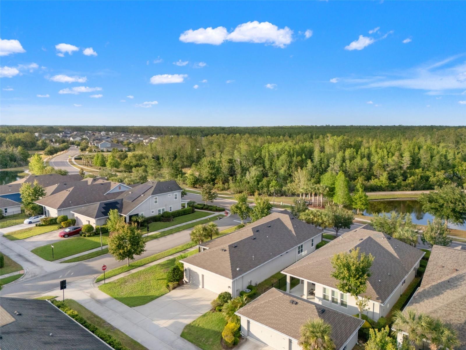 4077 BROAD PORCH RUN, LAND O LAKES, FL, 34638