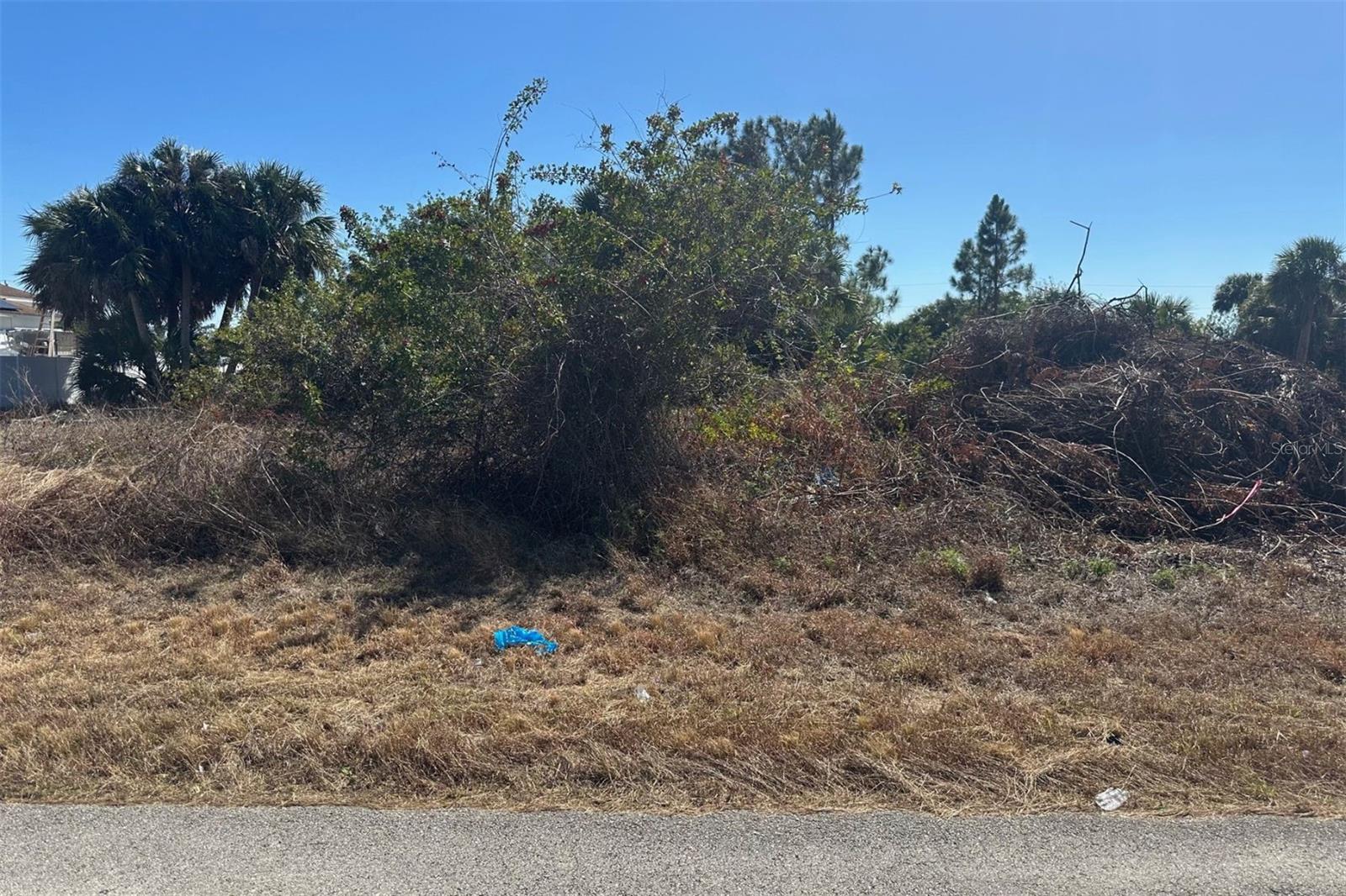 726 CANE ST E, LEHIGH ACRES, FL, 33974