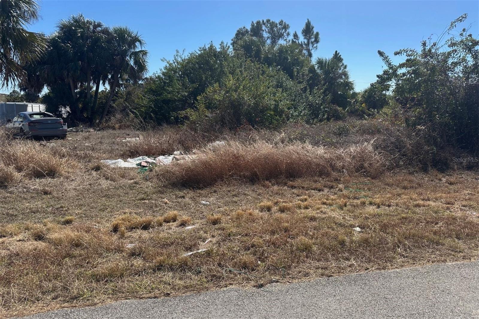 726 CANE ST E, LEHIGH ACRES, FL, 33974