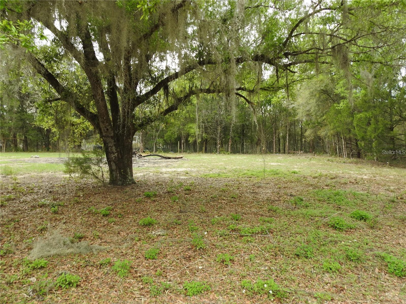 103 GEORGE DR, INTERLACHEN, FL, 32148