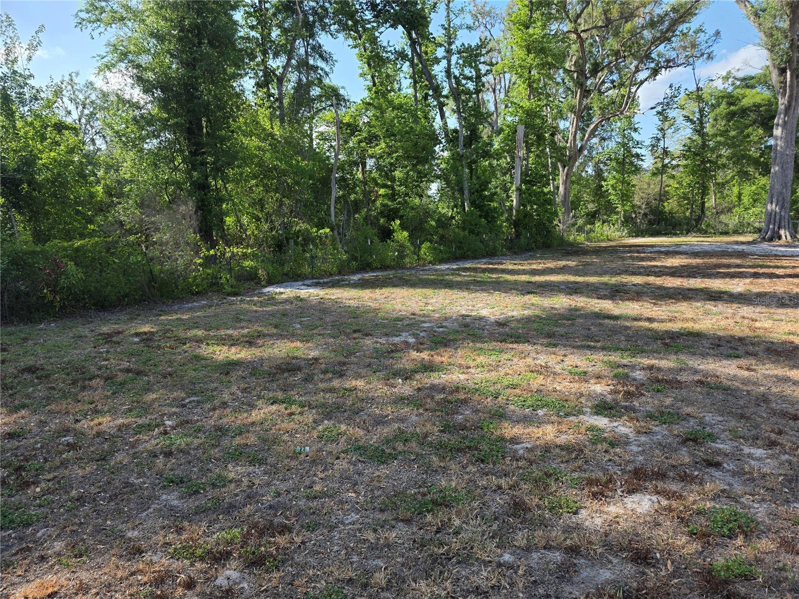 142 NE 112TH AVE, OLD TOWN, FL, 32680