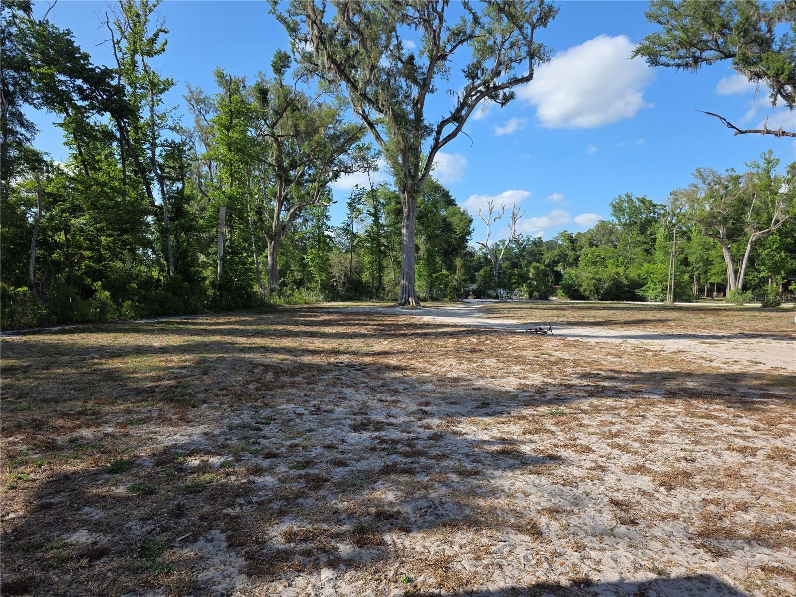 142 NE 112TH AVE, OLD TOWN, FL, 32680