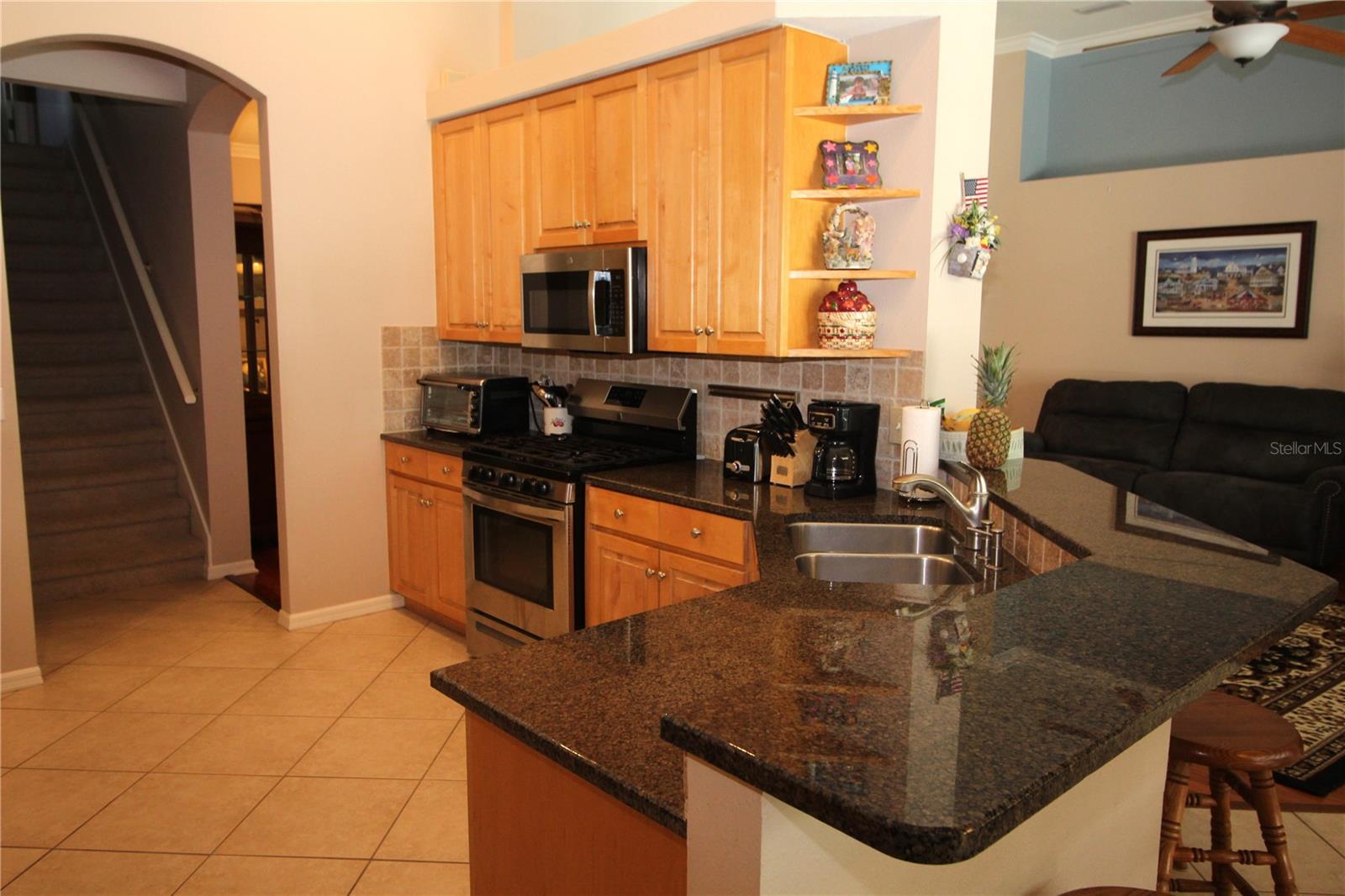 14743 HERONGLEN DR, LITHIA, FL, 33547
