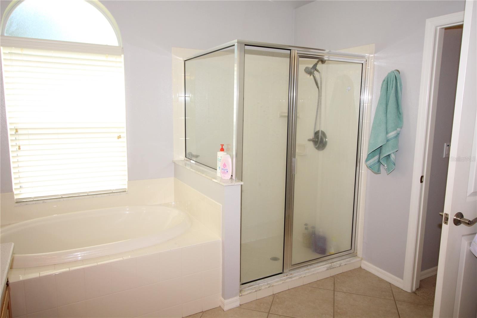14743 HERONGLEN DR, LITHIA, FL, 33547