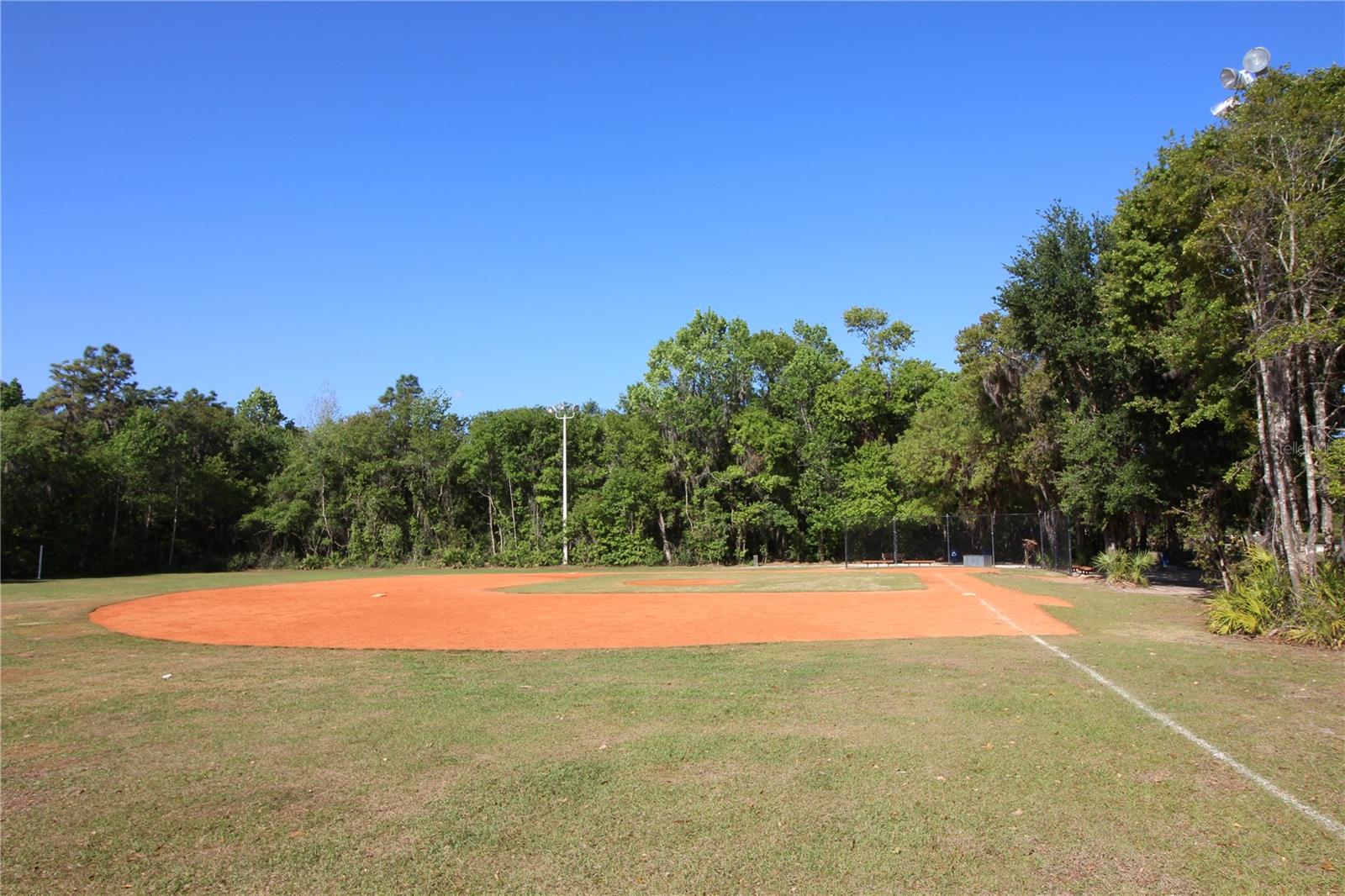 14743 HERONGLEN DR, LITHIA, FL, 33547