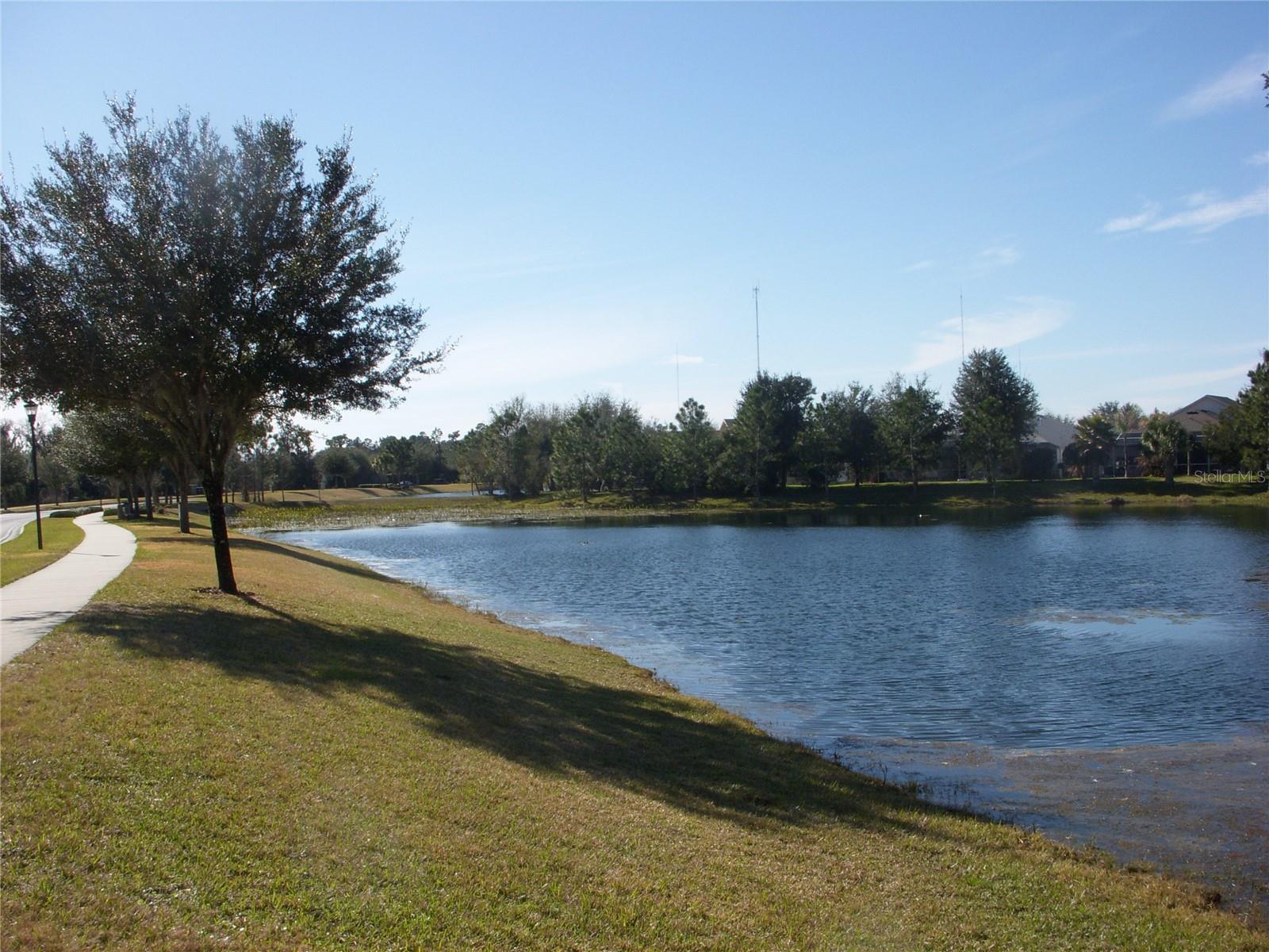 14743 HERONGLEN DR, LITHIA, FL, 33547