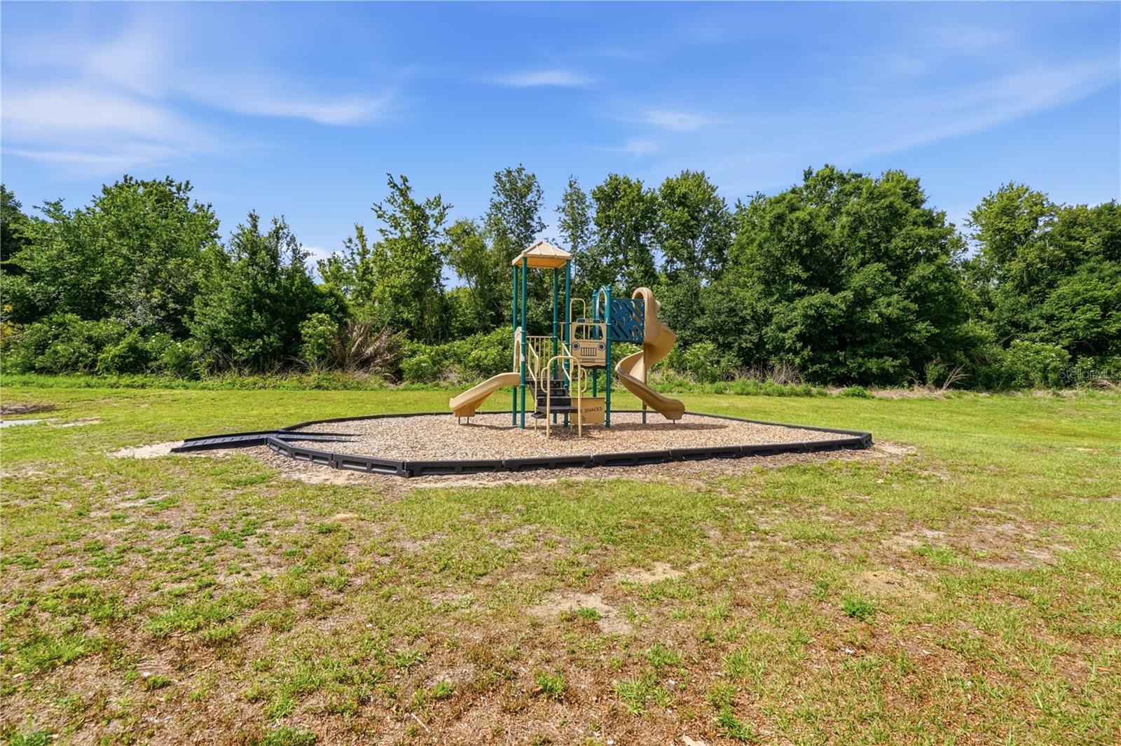 1228 YELLOW FINCH DR, DAVENPORT, FL, 33837