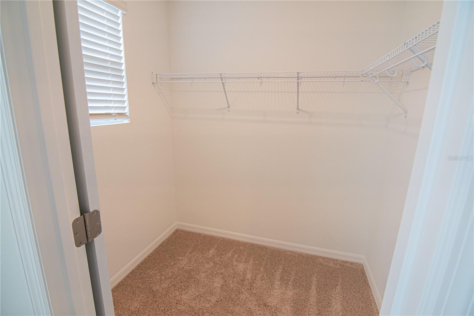 17741 JAPONICA BLOOM DR, WINTER GARDEN, FL, 34787