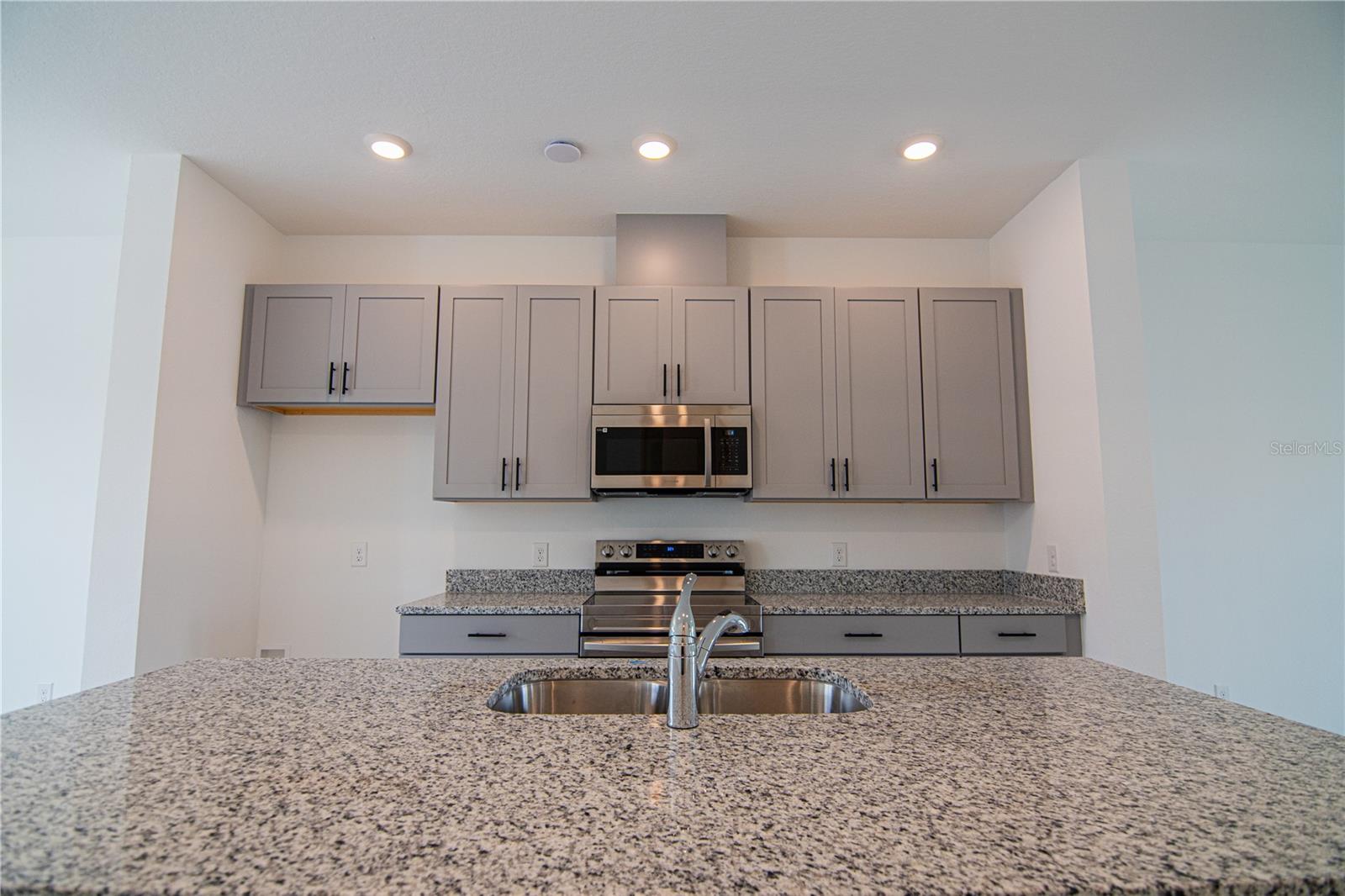 17741 JAPONICA BLOOM DR, WINTER GARDEN, FL, 34787