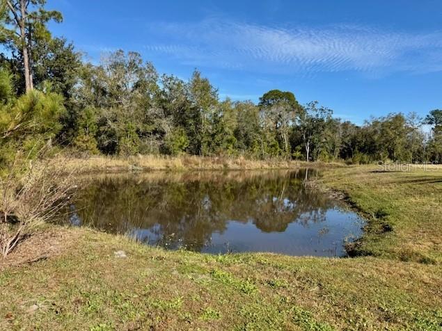 8031 TIMBERWOOD LN, ORLANDO, FL, 32825