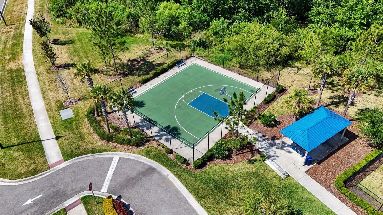 3296 SUNCOAST PLAINS DR, ODESSA, FL, 33556