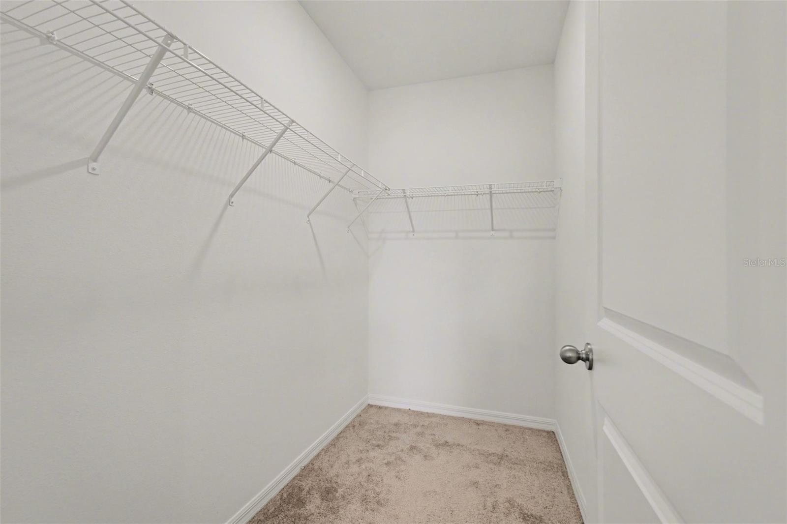 3296 SUNCOAST PLAINS DR, ODESSA, FL, 33556