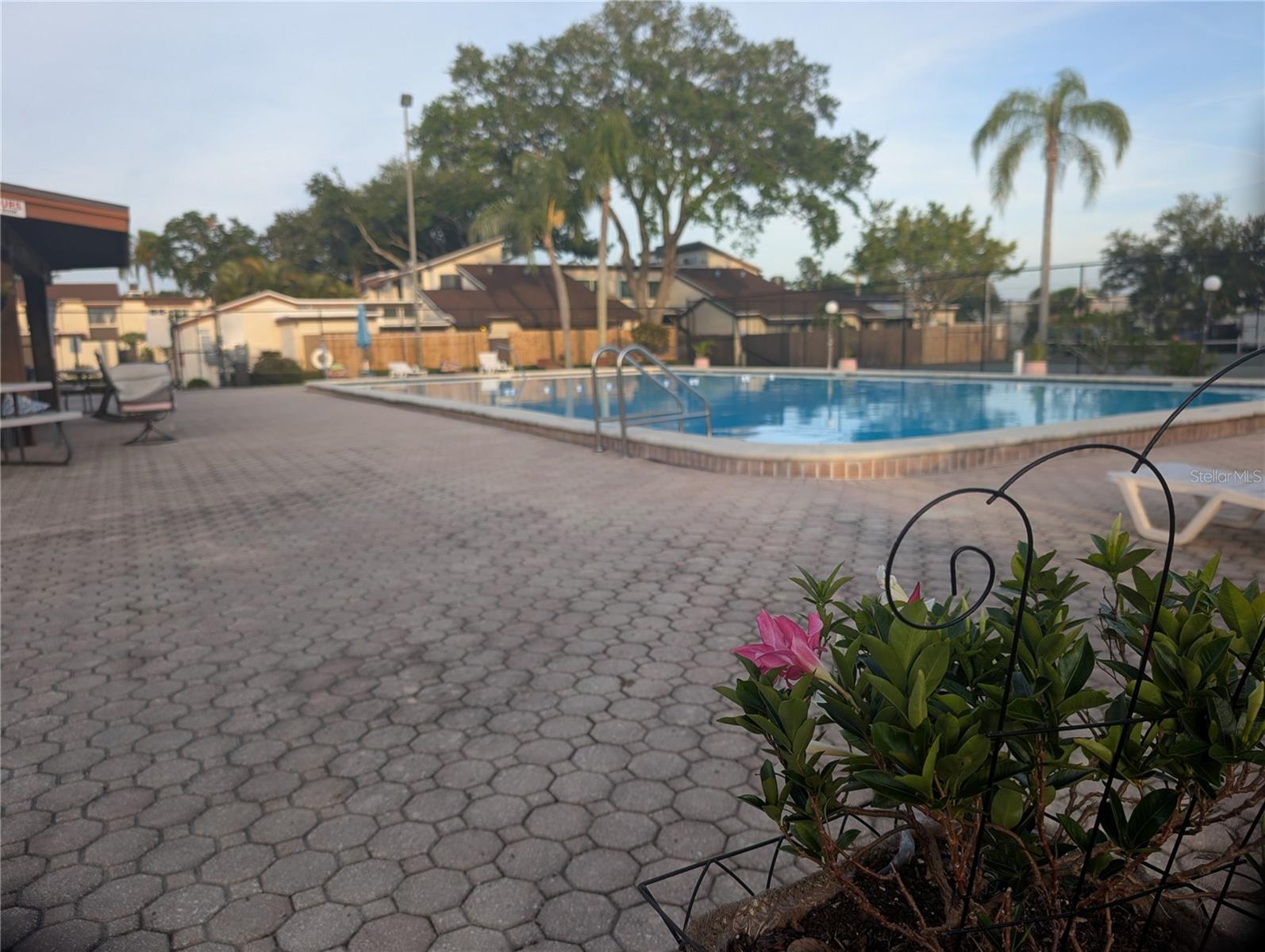 2042 SUNSET GROVE LN, CLEARWATER, FL, 33765