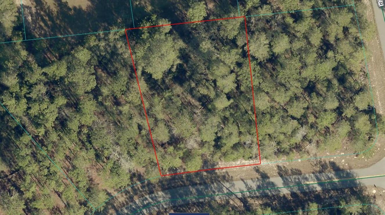 17700 SW 35TH TERRACE RD, OCALA, FL, 34473