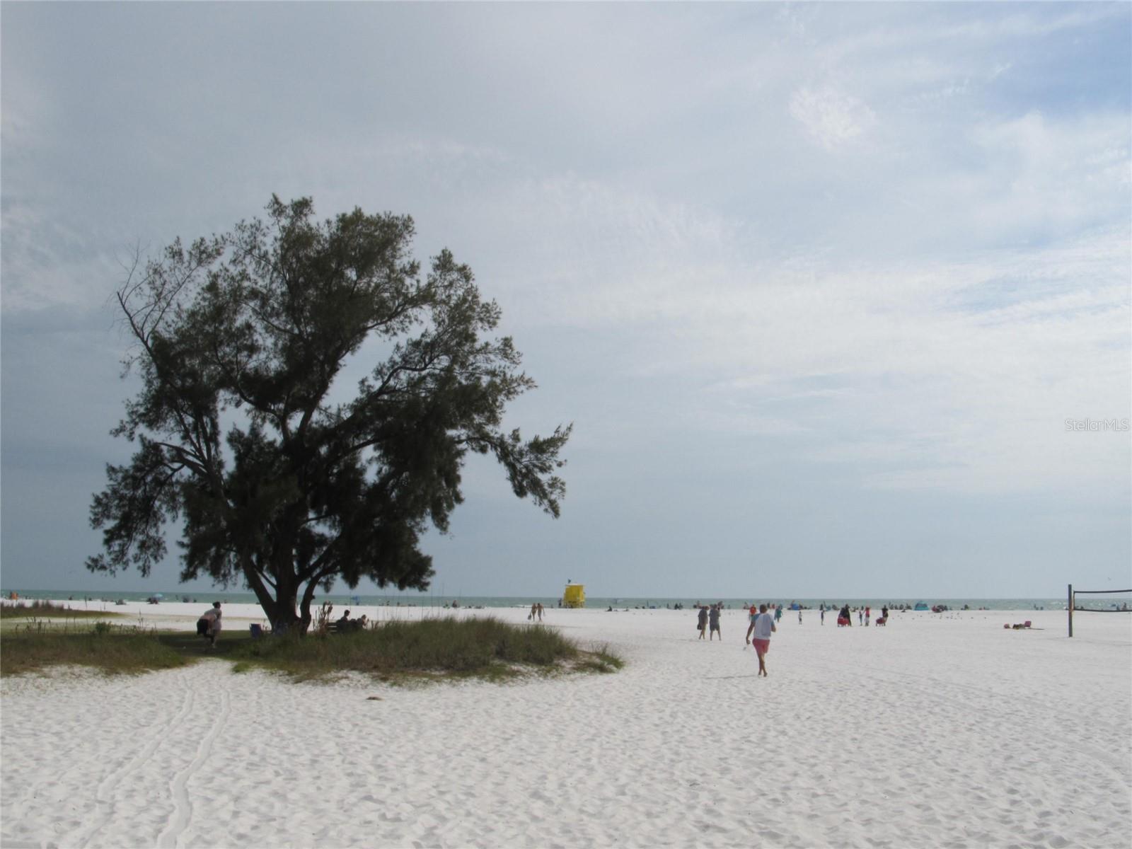 1111 N GULFSTREAM AVE #7C, SARASOTA, FL, 34236
