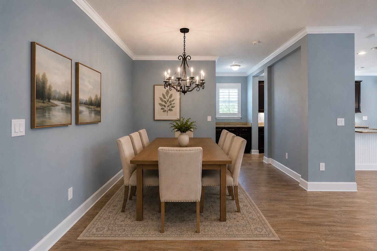 5111 COASTAL SCENE DR, APOLLO BEACH, FL, 33572