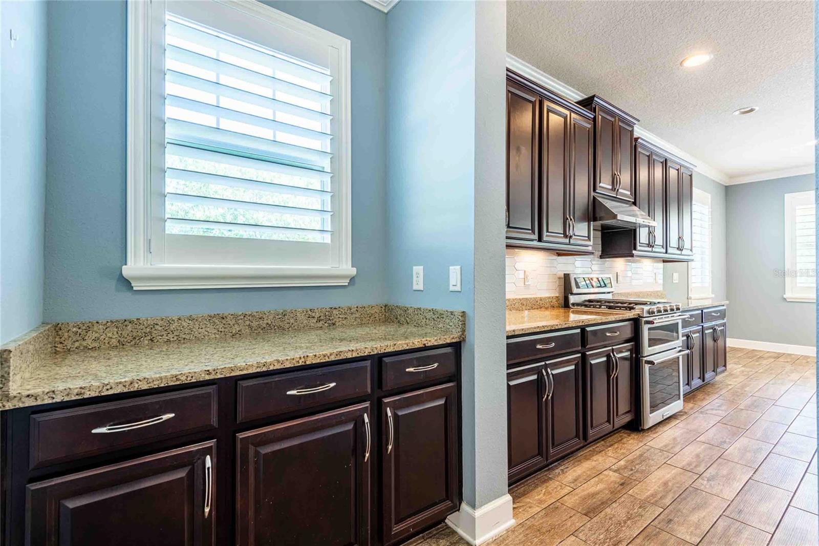 5111 COASTAL SCENE DR, APOLLO BEACH, FL, 33572