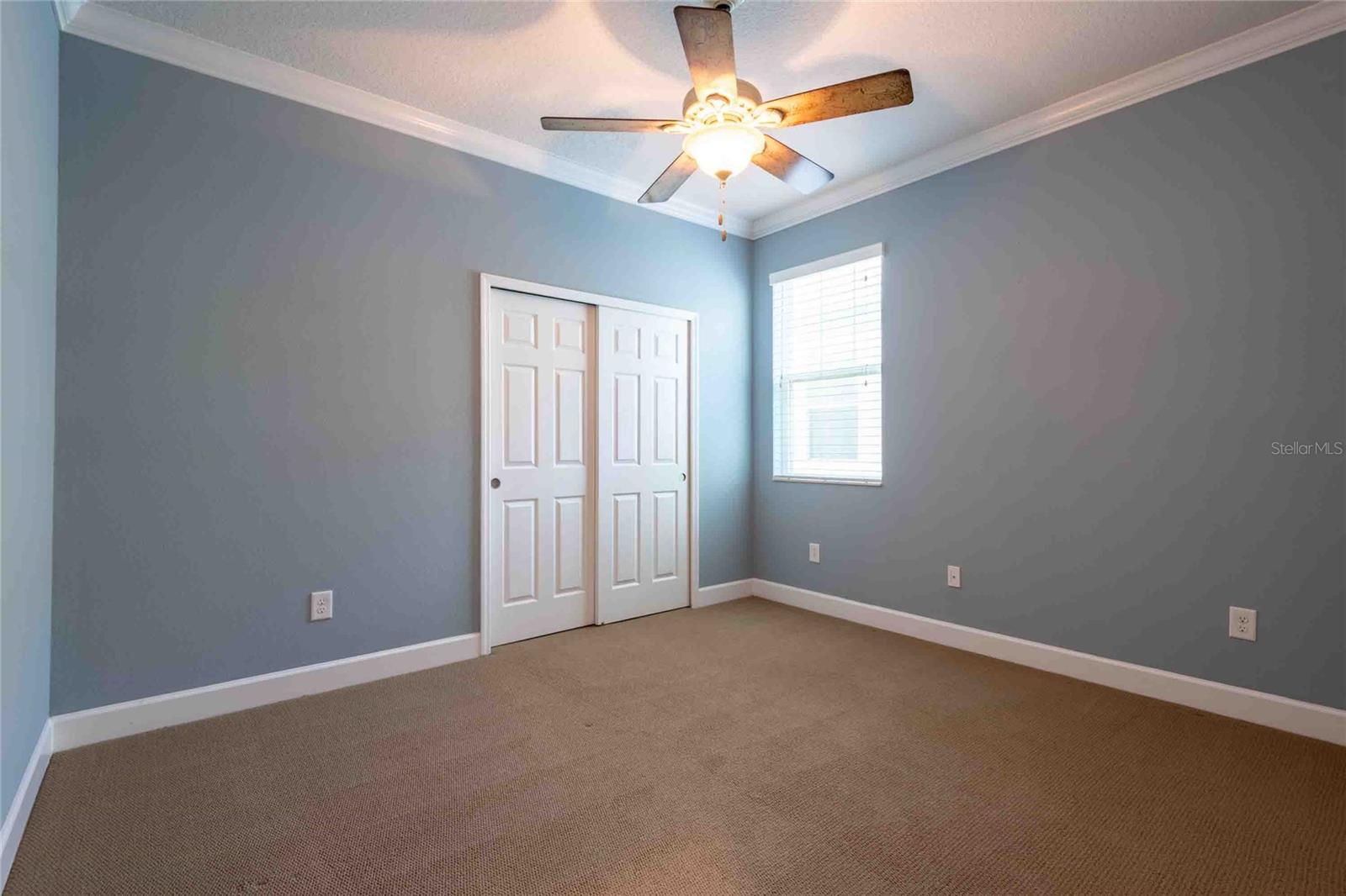 5111 COASTAL SCENE DR, APOLLO BEACH, FL, 33572