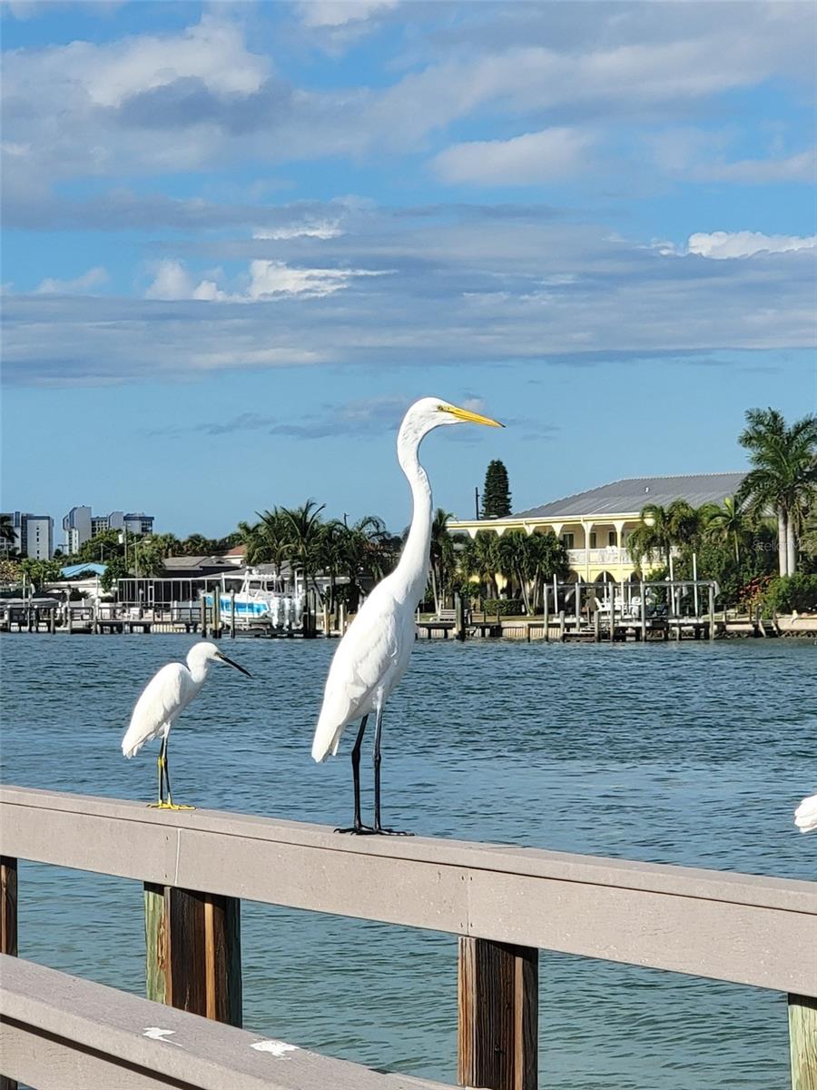 505 67TH AVE #5, ST PETE BEACH, FL, 33706