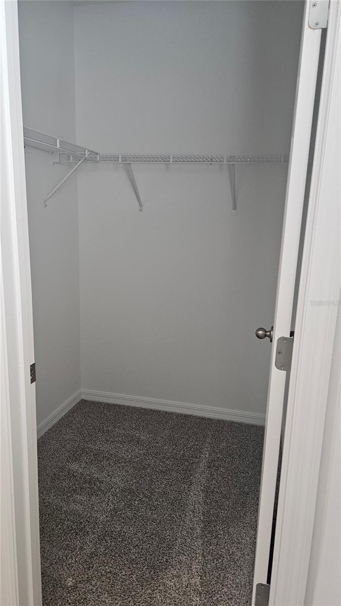 2335 WHITE TAIL ST, DAVENPORT, FL, 33837