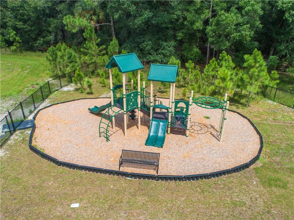 1074 AMBER LEAF TRL, WESLEY CHAPEL, FL, 33544
