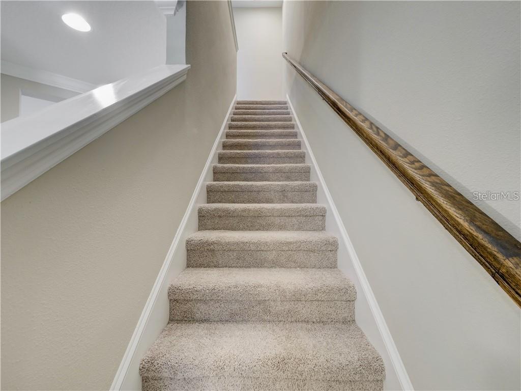 1074 AMBER LEAF TRL, WESLEY CHAPEL, FL, 33544