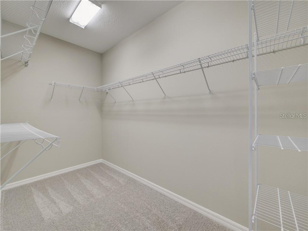1074 AMBER LEAF TRL, WESLEY CHAPEL, FL, 33544