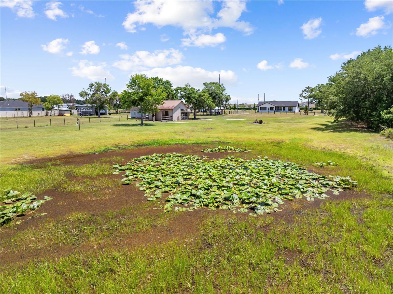 4170 HICKORY TREE RD, ST CLOUD, FL, 34772