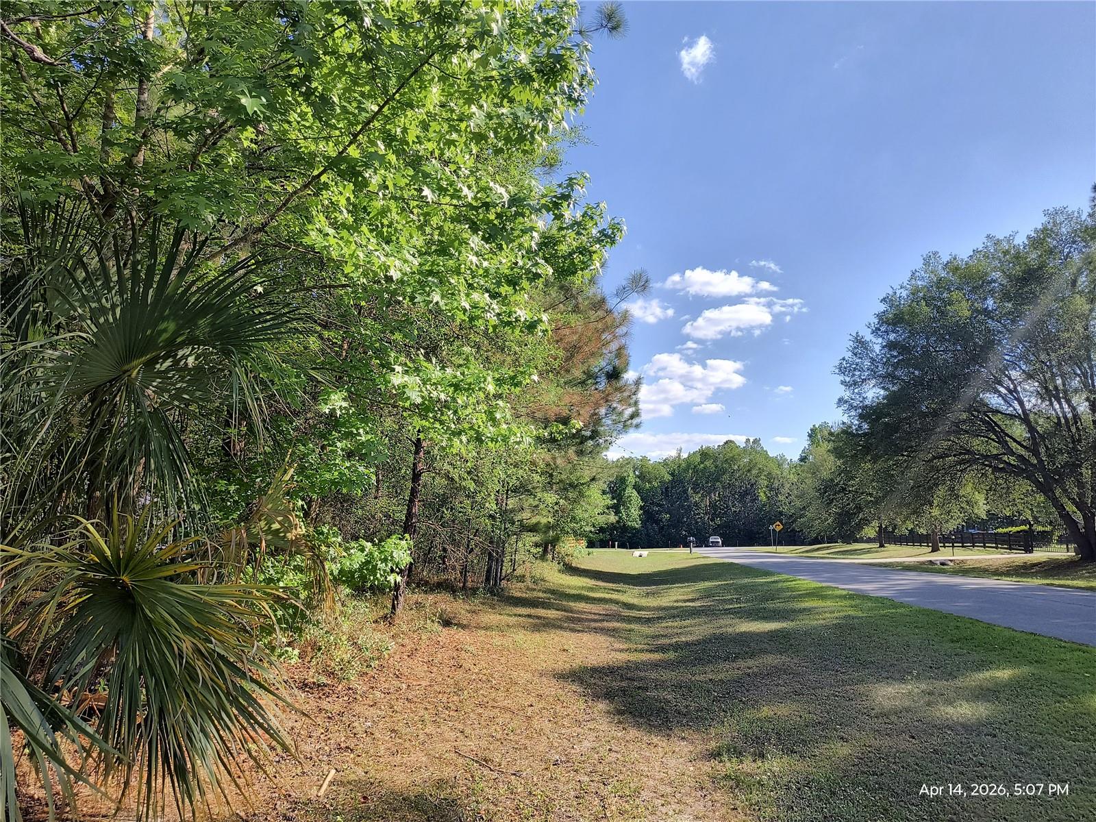 TBD NW 141ST AVE, WILLISTON, FL, 32696