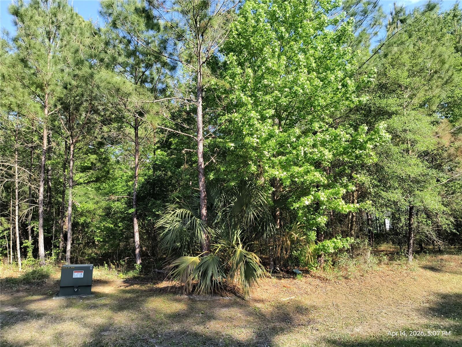 TBD NW 141ST AVE, WILLISTON, FL, 32696