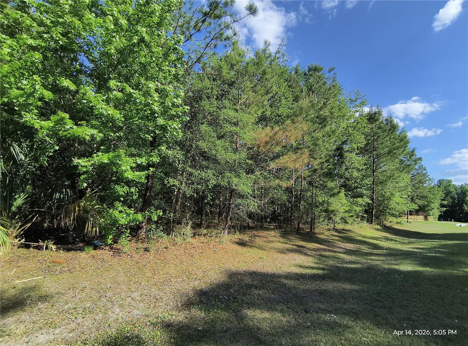 TBD NW 141ST AVE, WILLISTON, FL, 32696